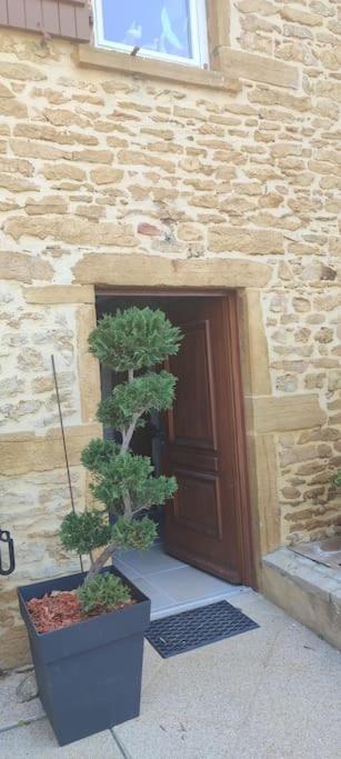 Le gîte des Pierres Dorées Marcilly-d'Azergues Exterior foto
