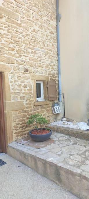 Le gîte des Pierres Dorées Marcilly-d'Azergues Exterior foto
